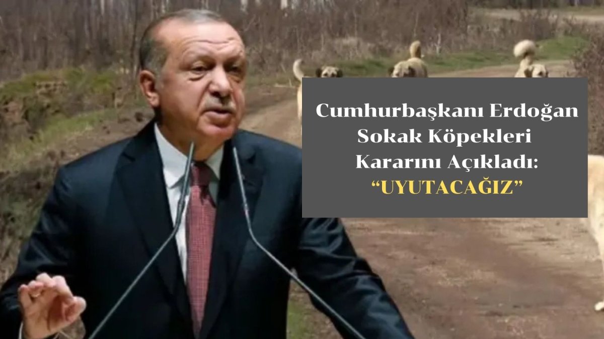 Cumhurbaşkanı Erdoğan Sokak Köpekleri Kararını Açıkladı: "Kimse Bize Vicdandan Bahsetmesin"