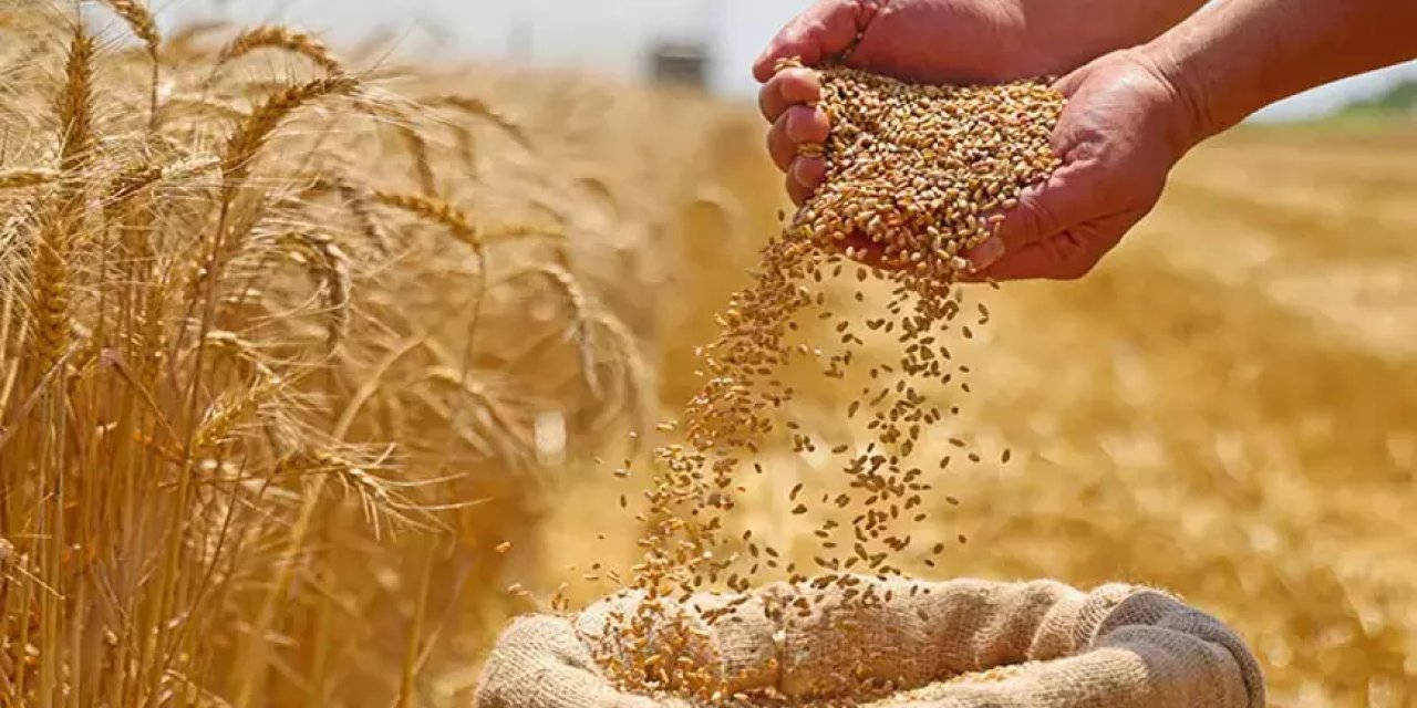 Açıklanan Buğday Fiyatlarının Çiftçiye “Buğdayı yak!” demekten ne farkı var?