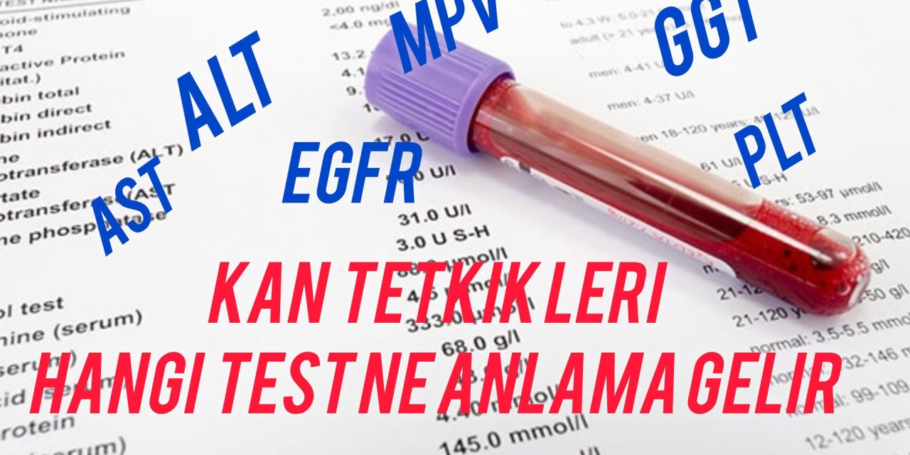 HERKESİN BİLMESİ GEREKEN KAN TAHLİLİ DEĞERLERİNİN ANLAMLARI