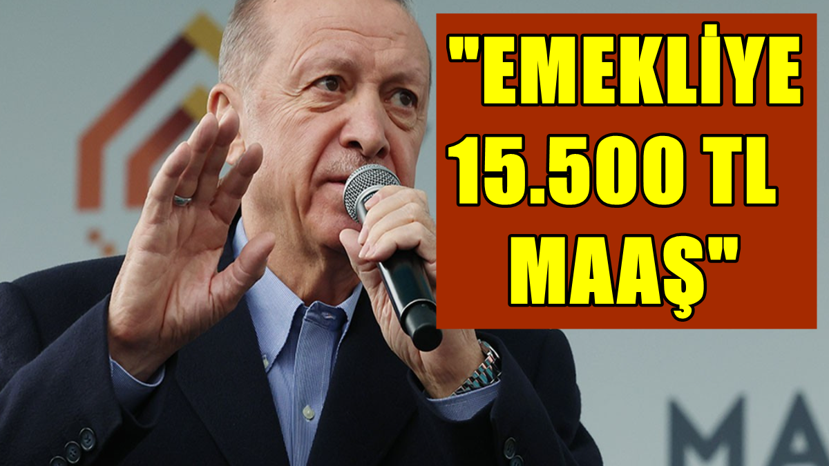 Cumhurbaşkanı Erdoğan Emekliye Kulak Verdi: 15.500 TL İşte Yeni Maaş!