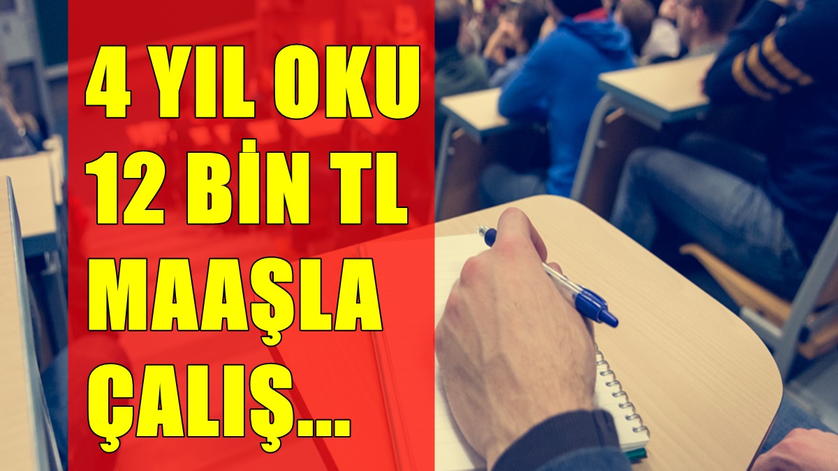 4 Yıl Okula Gitti Şimdi 12 Bin TL Maaşla İşe Giriyor!